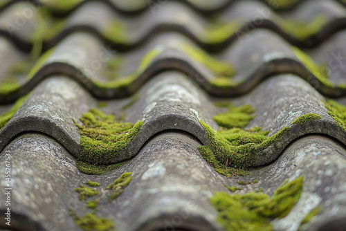 Wavy weathered roof tiles covered with vibrant green moss, natural texture
