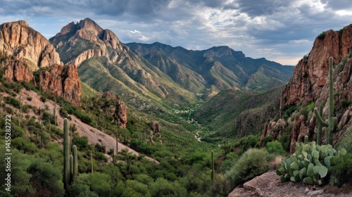 Mountain valley vista with desert flora