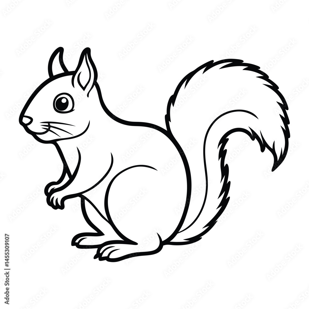squirrel vector squirrel vector