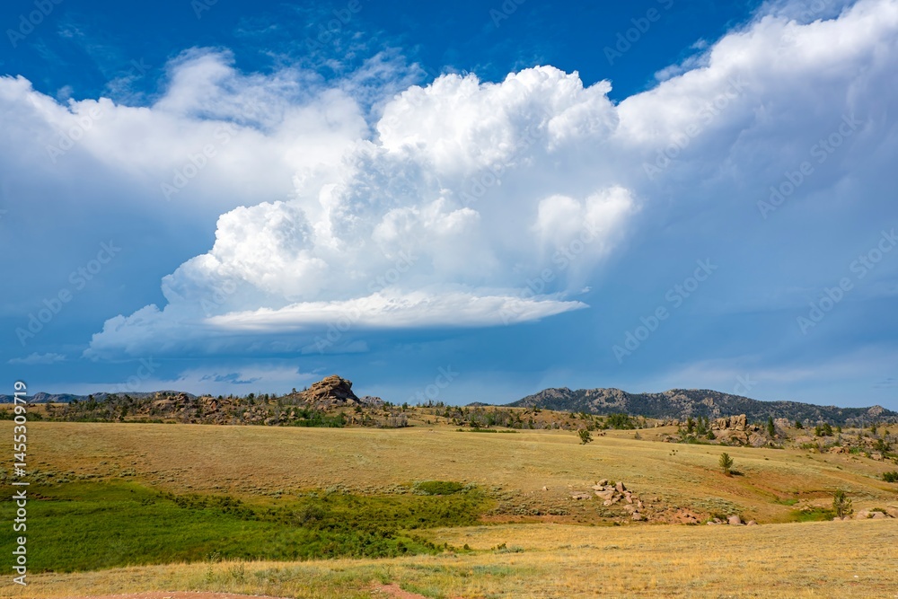Obraz premium Idaho mountain scene