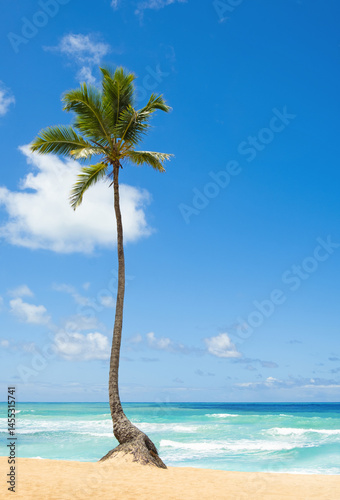 Fototapeta Naklejka Na Ścianę i Meble -  Beautiful tropical beach with golden sand, coconut palm against the backdrop of the azure ocean. Exotic Caribbean Sea.