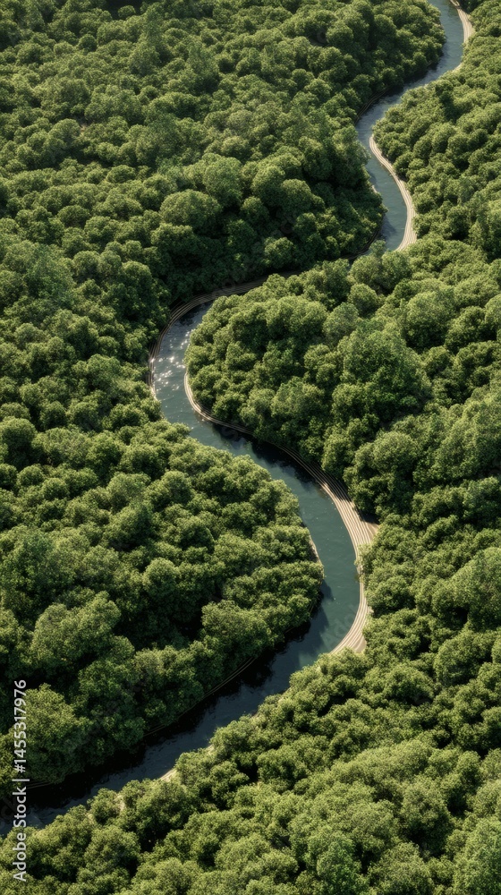 Aerial View of a River Curving Through Dense Forest, Surrounded by Green Tree Canopy Aerial View of a River Curving Through Dense Forest, Surrounded by Green Tree Canopy
