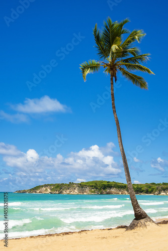 Fototapeta Naklejka Na Ścianę i Meble -  Beautiful tropical beach with golden sand, coconut palm against the backdrop of the azure ocean.
