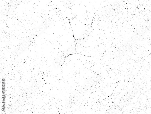 Abstract Black and White Background with Dynamic Dot and Spot Texture