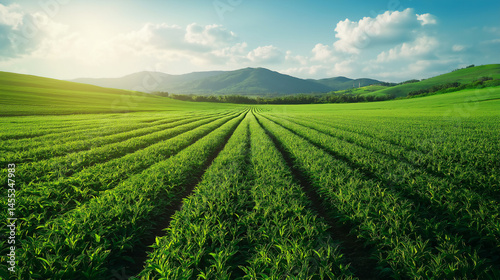 Lush farmland and mountain horizon, eco-friendly, clean background.