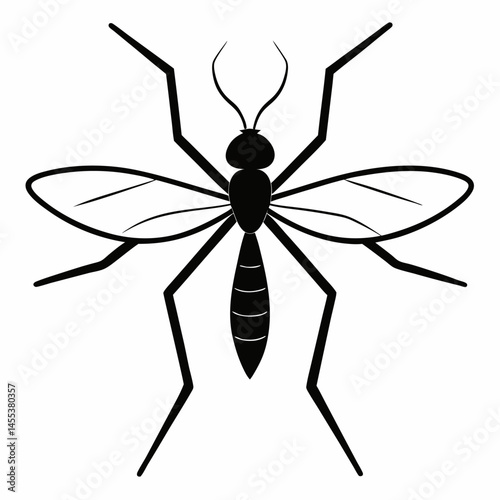 Mosquito on white background 