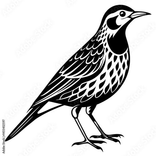 meadowlark