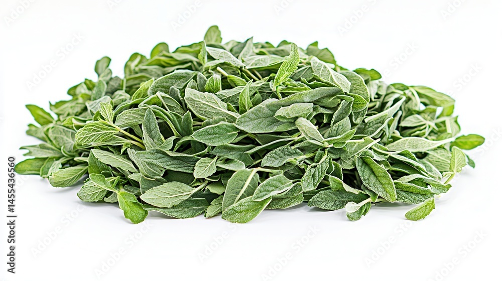 Fresh Green Herbs Pile of Aromatic Leaves Culinary Herbs Close Up Fresh Green Herbs Pile of Aromatic Leaves Culinary Herbs Close Up