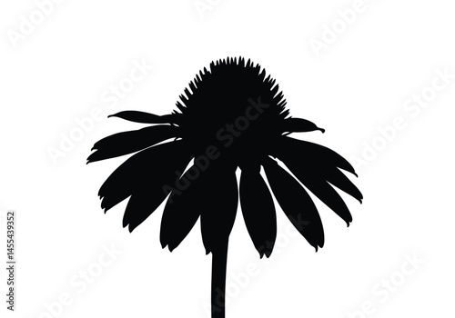 Coneflower silhouette. This image shows a black silhouette of a coneflower, also known as echinacea, with distinct petals and a cone-shaped center. Vector clipart illustration design.