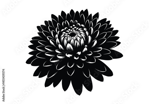 Chrysanthemum silhouette. This image shows a black silhouette of a chrysanthemum flower with intricate petals, also known as mum or autumn flower. Vector clipart illustration design.