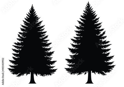 Coniferous tree silhouette. This image shows a black silhouette of a coniferous tree, also known as pine, fir, or spruce tree, with detailed branches and needles. Vector clipart illustration design.