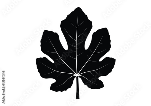 Fig leaf silhouette. This image shows a fig leaf silhouette, also known as a fig tree leaf outline. Vector clipart illustration design.
