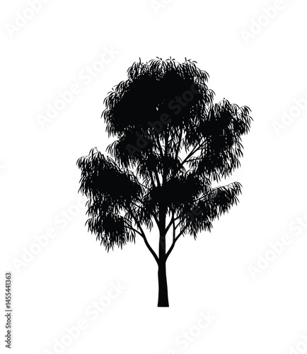 Eucalyptus tree silhouette. This image shows a black silhouette of a eucalyptus tree with detailed foliage and branches. Vector clipart illustration design.