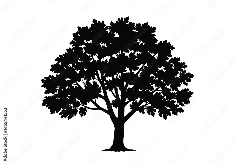 Fig tree silhouette. This image shows a black silhouette of a fig tree with detailed branches and foliage, also known as a ficus tree or fig plant. Vector clipart illustration design.
