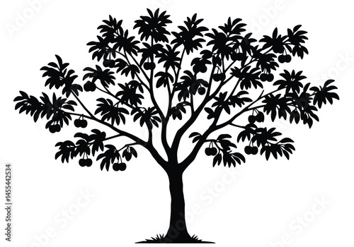 Fruit tree silhouette. This image shows a black silhouette of a fruit tree with detailed branches and foliage, also known as an orchard or botanical tree. Vector clipart illustration design.