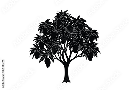Mango tree silhouette. This image shows a black and white vector illustration of a mango tree with detailed leaves and fruits. Vector clipart illustration design.