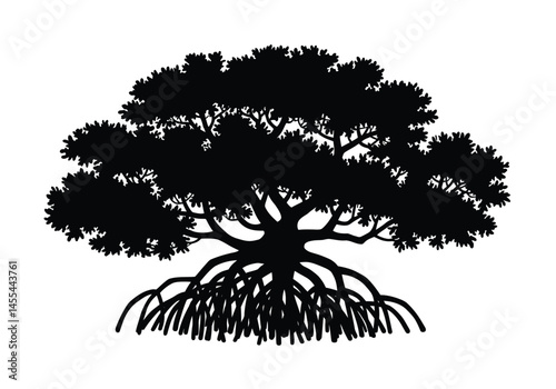 Mangrove tree silhouette. This image shows a black silhouette of a mangrove tree with detailed roots and foliage, also known as a coastal tree or wetland plant. Vector clipart illustration design.