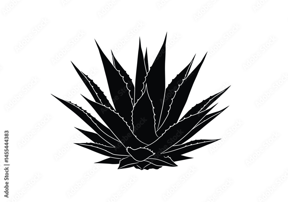 Fototapeta premium Agave plant silhouette. This image shows a black and white clipart of an Agave plant with sharp, spiky leaves. Vector clipart illustration design.