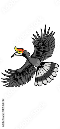 the ilustration of hornbill bird