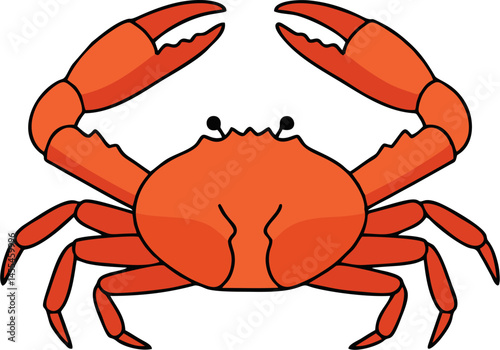 Top View King Crab Vector with Sharp Legs and Symmetrical Shell Design