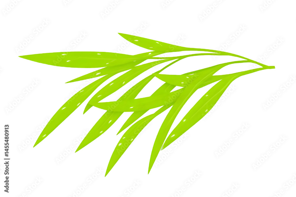 Fototapeta premium Isolated PNG Illustration of Green Leaves on Black Background