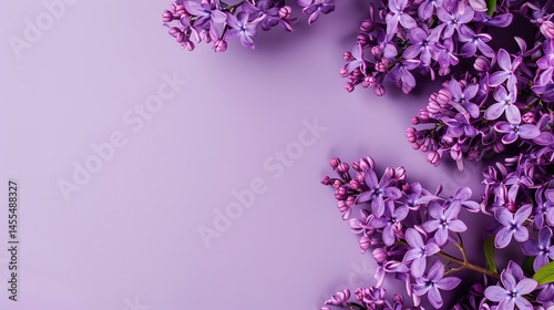 Mother's Day Violet Background: Dyeing Tender Feelings with Purple Charm, Spreading a Heartwarming Scroll of the Interweaving of Maternal Tenderness and Violet's Delicate Fragrance
