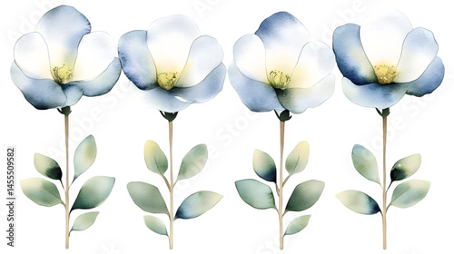 Watercolor Floral Illustration on Transparent Background