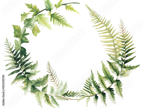 Watercolor Illustration of Fern Leaves Arranged in a Circle on Transparent Background