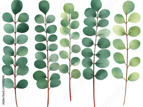 Watercolor Illustration Of Green Leaves On Transparent Background