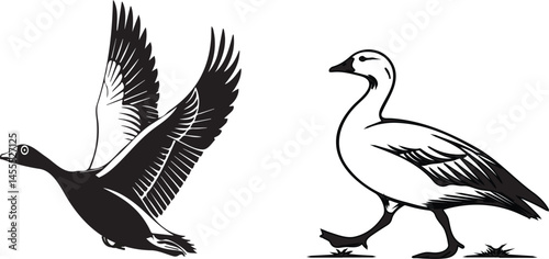 Snow goose silhouette vector design with white background ..