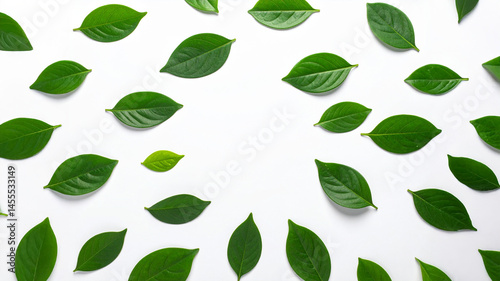 Wallpaper Mural A collection of fresh, vibrant green leaves scattered across a bright white backdrop. The natural randomness and rich textures evoke themes of botanical elegance, organic harmony, and eco-friendly aes Torontodigital.ca