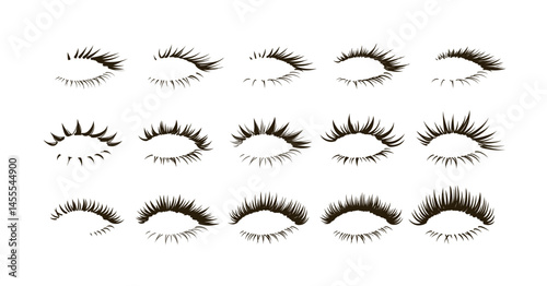 Various shape(kinds) of false(fake) eyelash extension