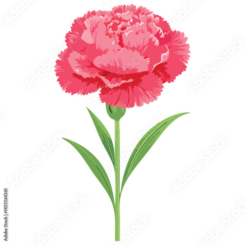 Delicate Carnation Flower Illustration – Botanical Art for Prints, Design & Decor