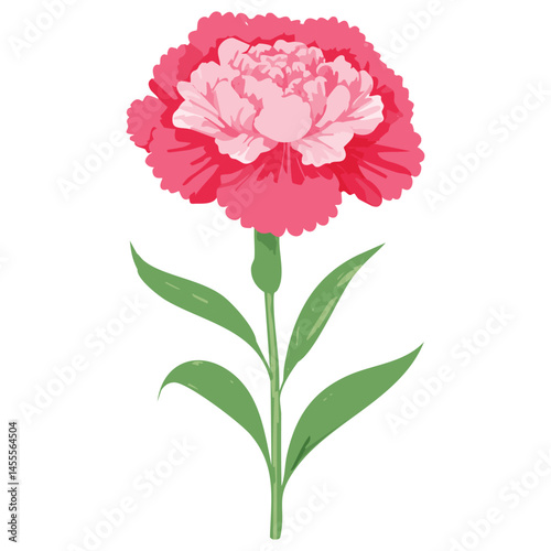 Delicate Carnation Flower Illustration – Botanical Art for Prints, Design & Decor