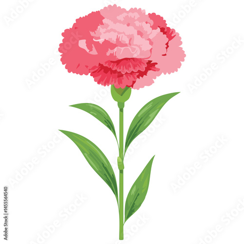 Delicate Carnation Flower Illustration – Botanical Art for Prints, Design & Decor