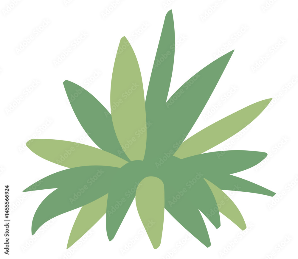 植栽のイラスト 植栽のイラスト