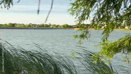 A serene video of a lake reflects natures beauty amidst greenery