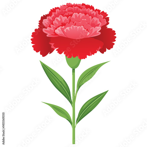 Delicate Carnation Flower Illustration – Botanical Art for Prints, Design & Decor