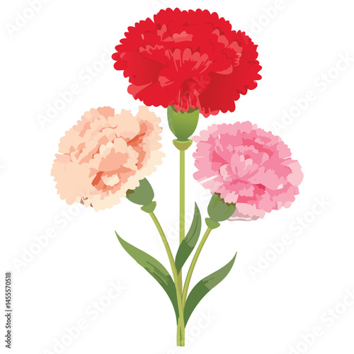 Delicate Carnation Flower Illustration – Botanical Art for Prints, Design & Decor
