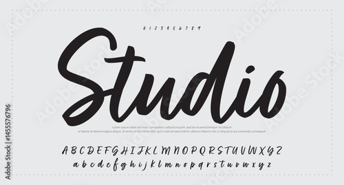 handwrite signature font Calligraphy Logotype Script Brush Font Type Font lettering handwritten