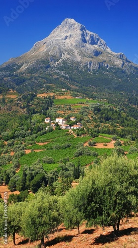 Wallpaper Mural Mountain Aenos View in Kefalonia Island Greece with Olive Trees and Vineyards on a Sunny Day in Summer Torontodigital.ca