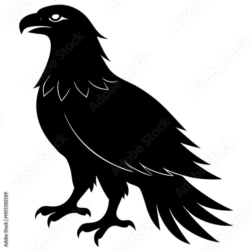Silhouette of a Raven