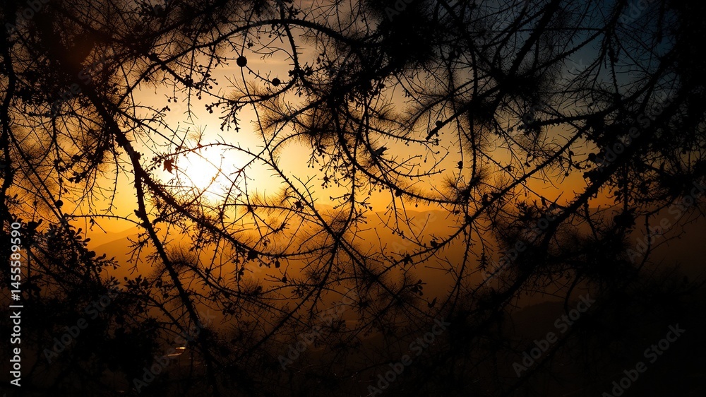 Sunrise Textures and Shadows - Atmospheric Landscape Sunrise Textures and Shadows - Atmospheric Landscape