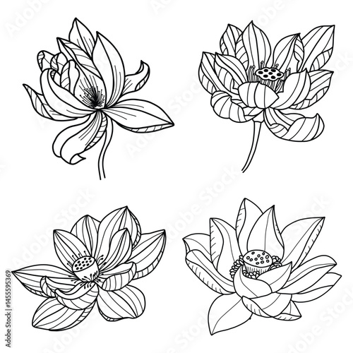 Botanical black Clipart Wildflower