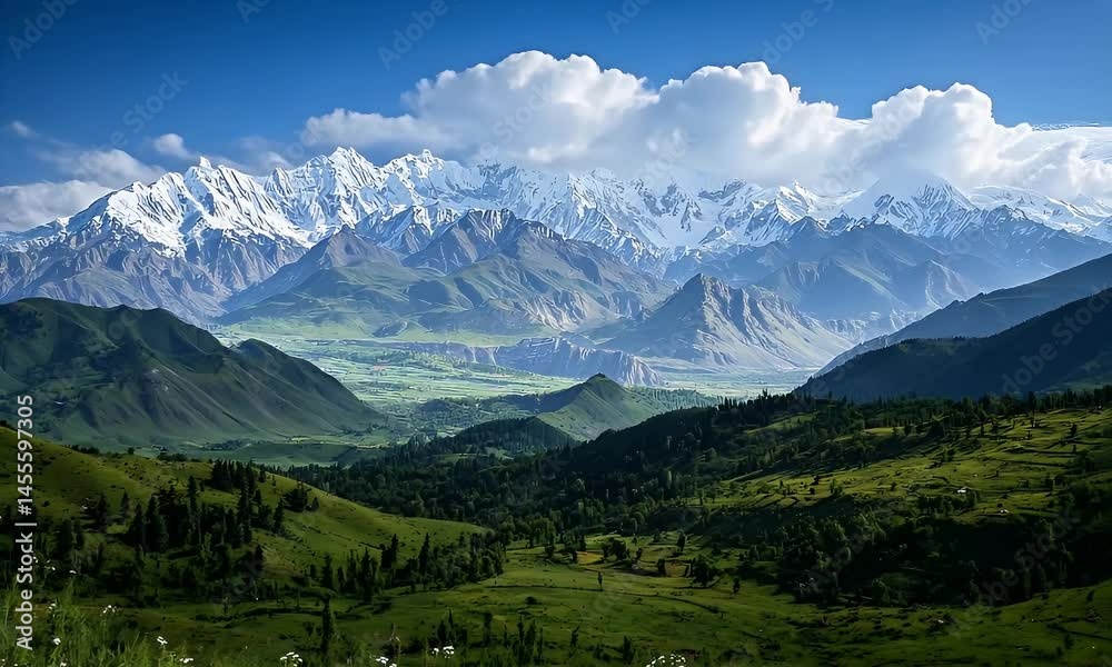 Snow Capped Mountain Range and Lush Green Valley Landscape Snow Capped Mountain Range and Lush Green Valley Landscape