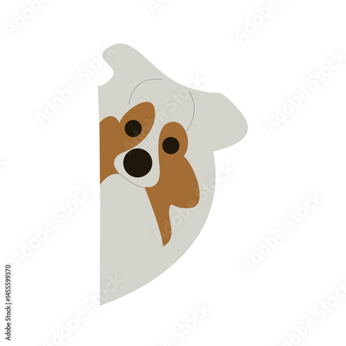 Australian Shepherd Dog Peeking Illustration