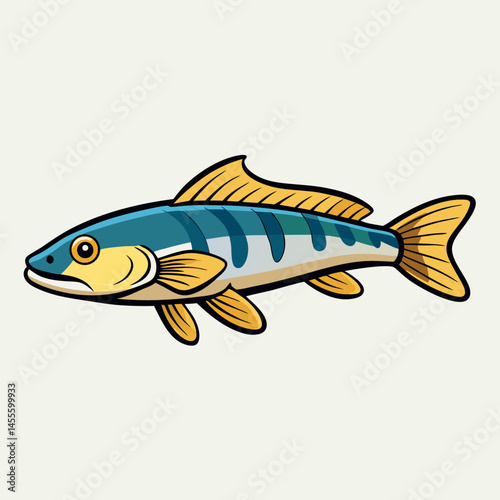 hillstream loach vector on white