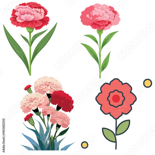 Delicate Carnation Flower Illustration – Botanical Art for Prints, Design & Decor
