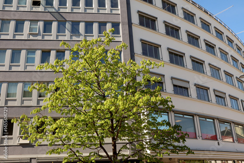 Obraz na płótnie Building w salonie