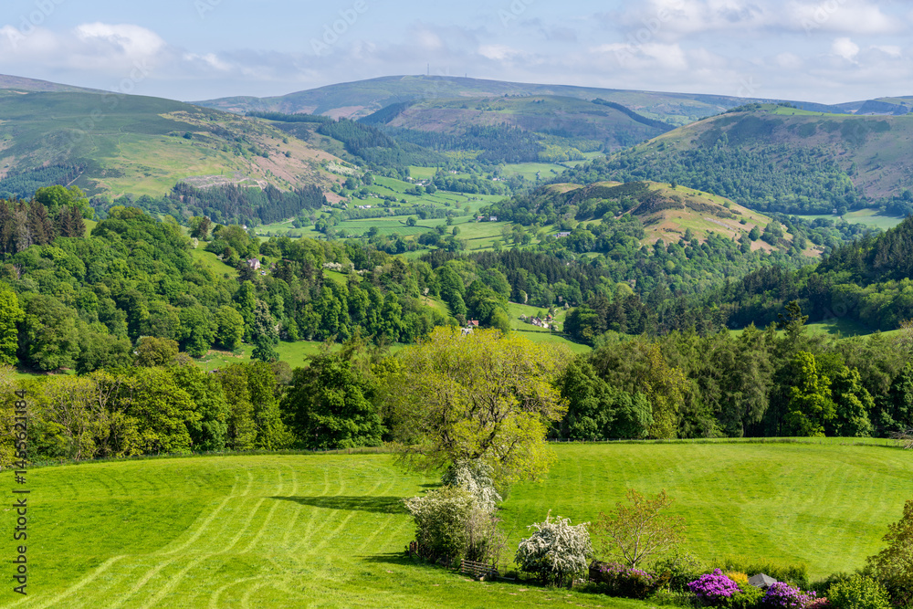 Obraz premium Denbighshire landscape near Berwyn, Wales, UK